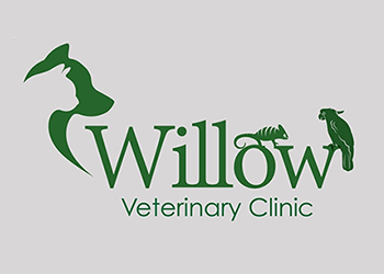 Willow-Vets.png